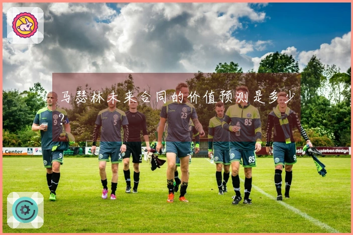 马瑟林未来合同的价值预测是多少？