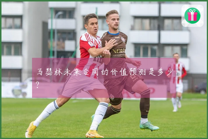 马瑟林未来合同的价值预测是多少？